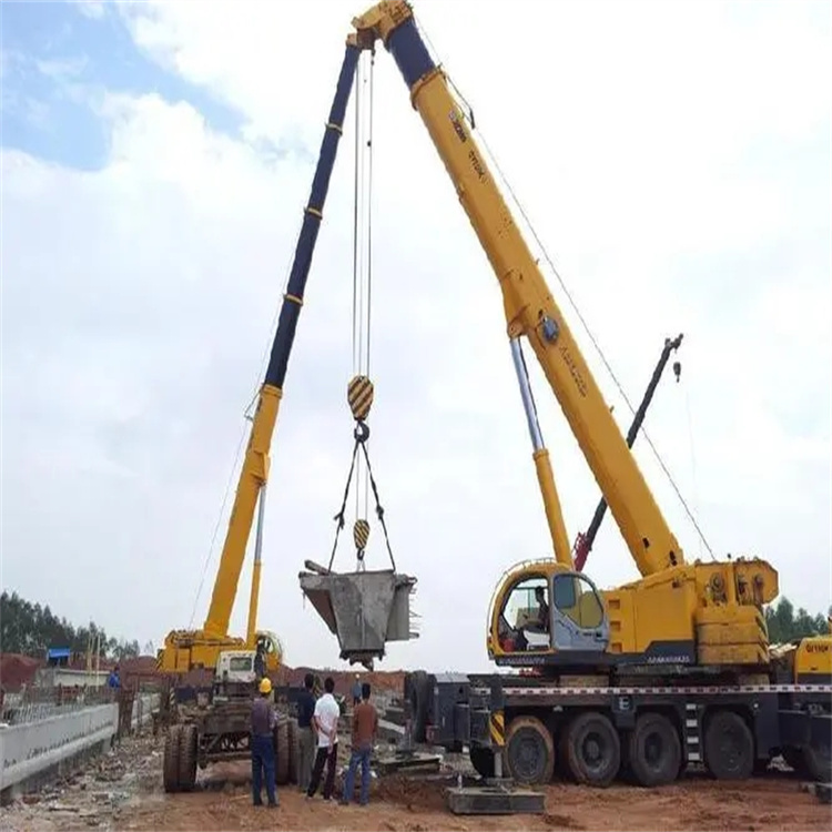 天长小型吊机出租电话|厂房设备吊装方案|24小时服务覆盖